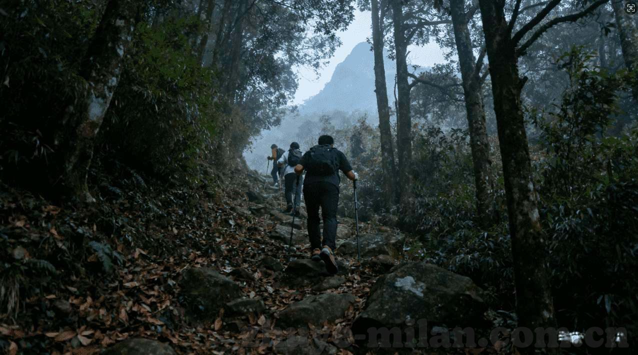 世界杯在哪里可以竞猜-世界杯竞猜，解锁全球球迷的激情盛宴